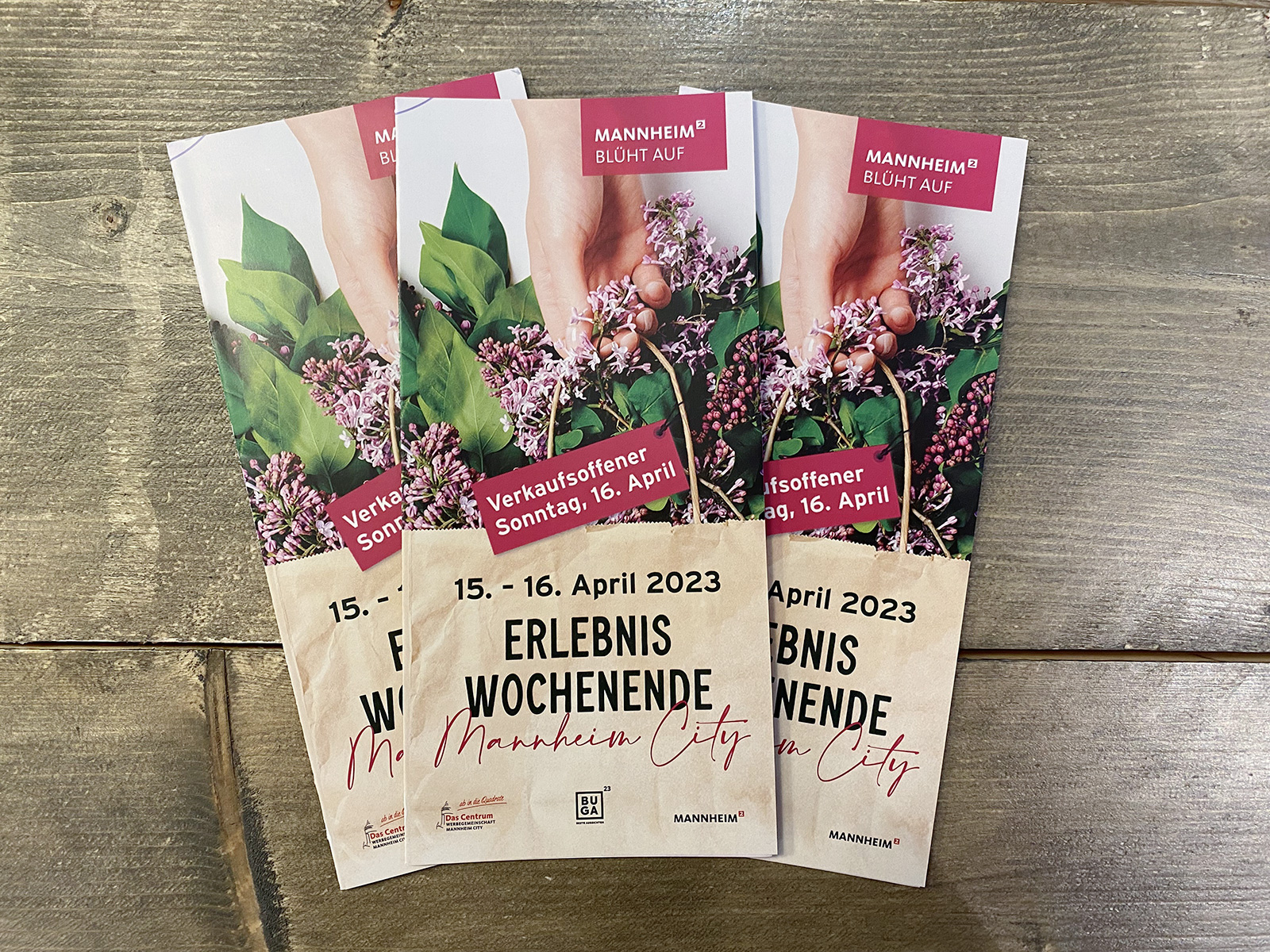 Zum Start der BUGA 2023 in Mannheim findet auch das Erlebniswochenende „Mannheim blüht auf“ am 15. und 16. April statt.