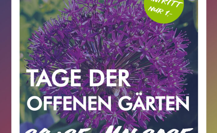 24. – 25. Mai 2025: Pflanzen, Kunst, Wein und Feinkost im Weingut Orb in Westhofen